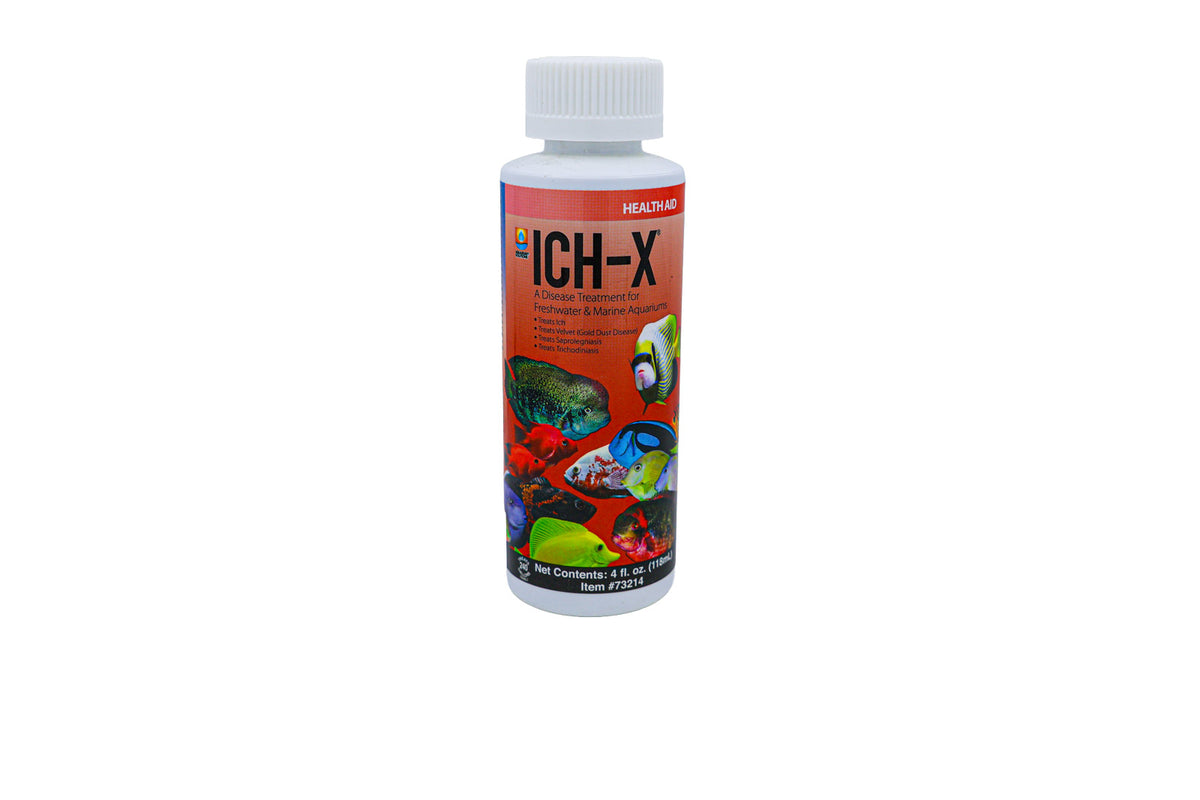 Hikari Ich-X — 4 fl oz (118 mL)