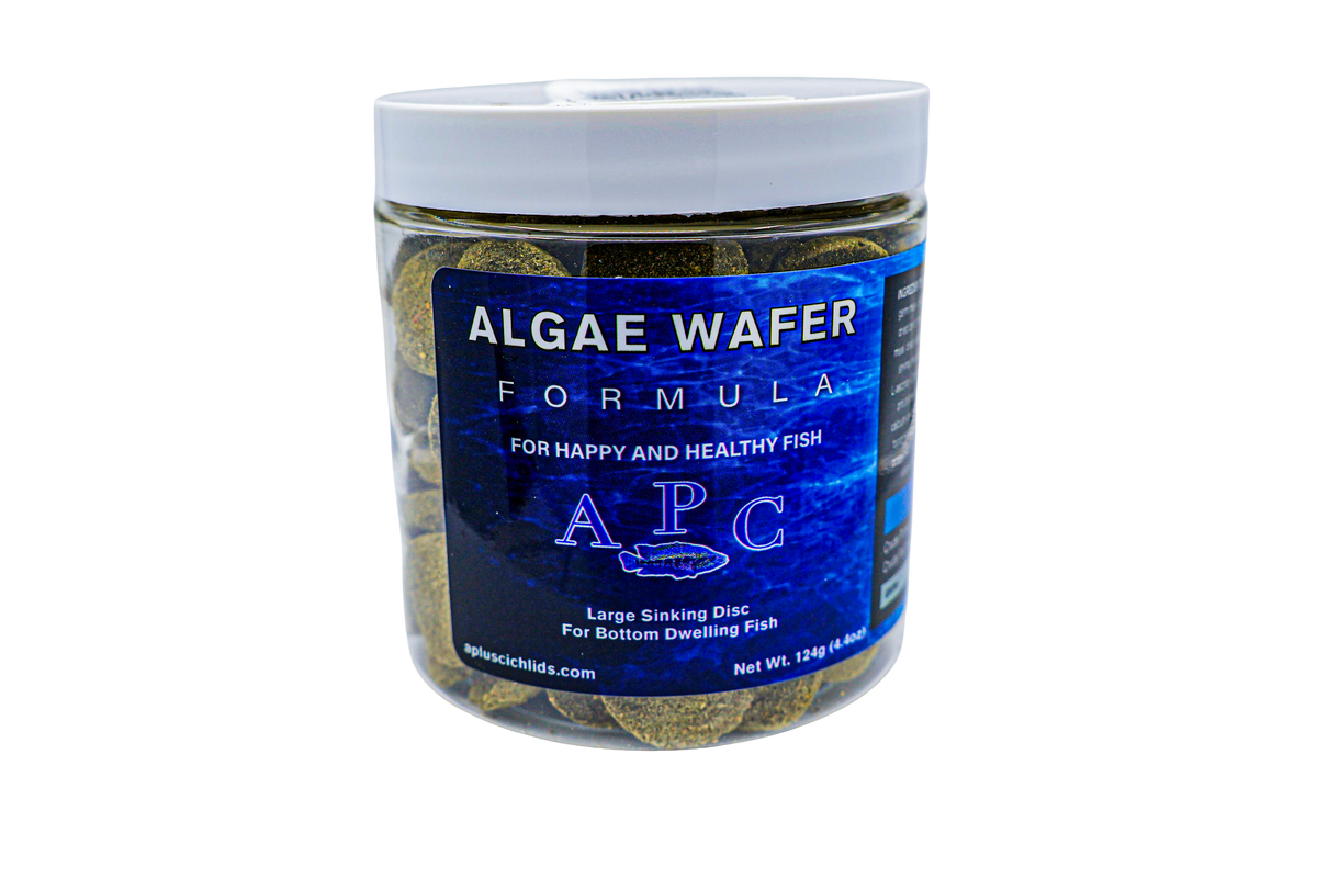 APlus Algae Wafer (Large Sinking Disc)